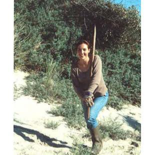 Dunes de Berck (62)