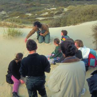 Baie de Canche (62)