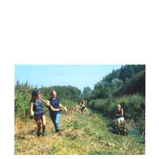Marais du Villiers (62)
