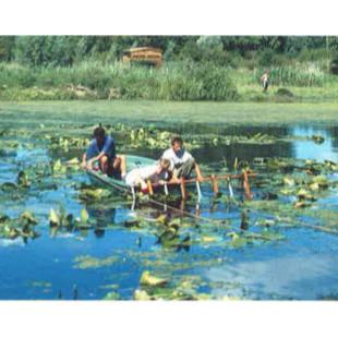Marais Ouest de Saint Omer (62) - arrachage de plantes aquatiques