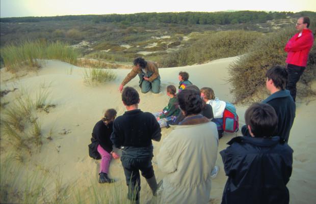 Baie de Canche (62)